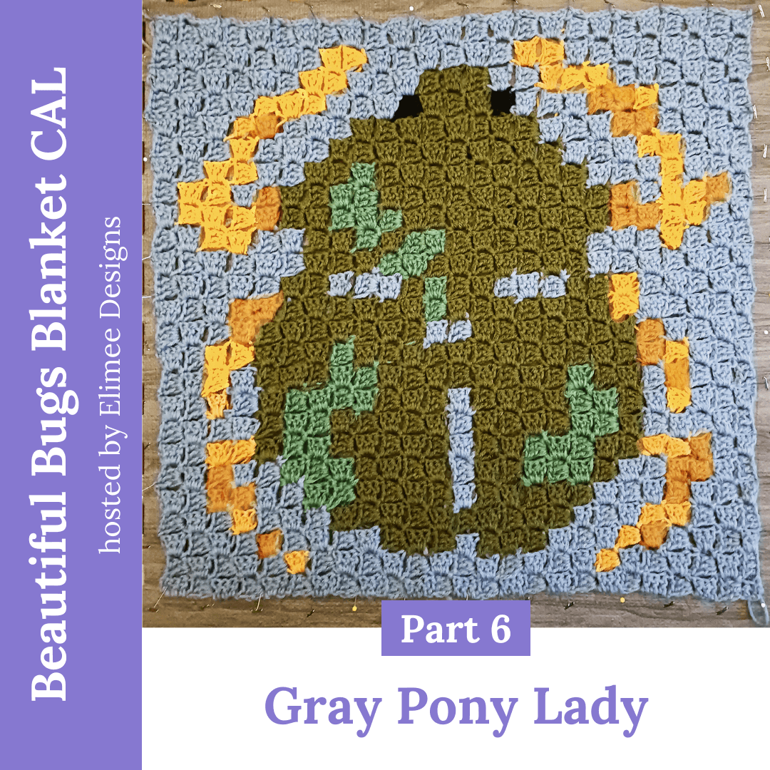  Sample photo provided by Johanna from Grey Pony Lady. 