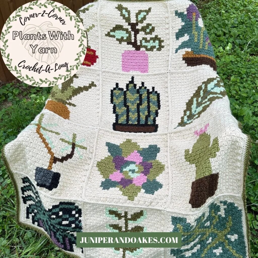 Crocheted houseplant C2C blanket